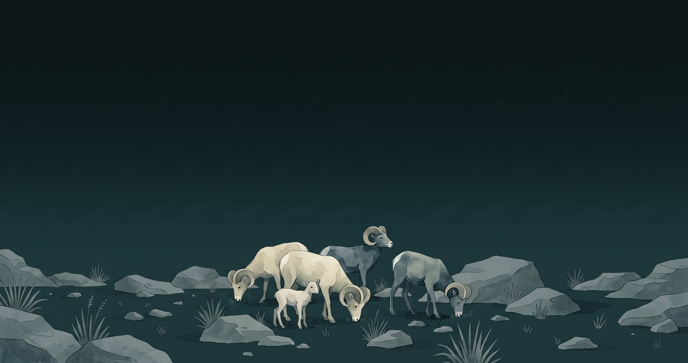 A watercolour flock of sheep grazing among rocks under a dark teal sky
